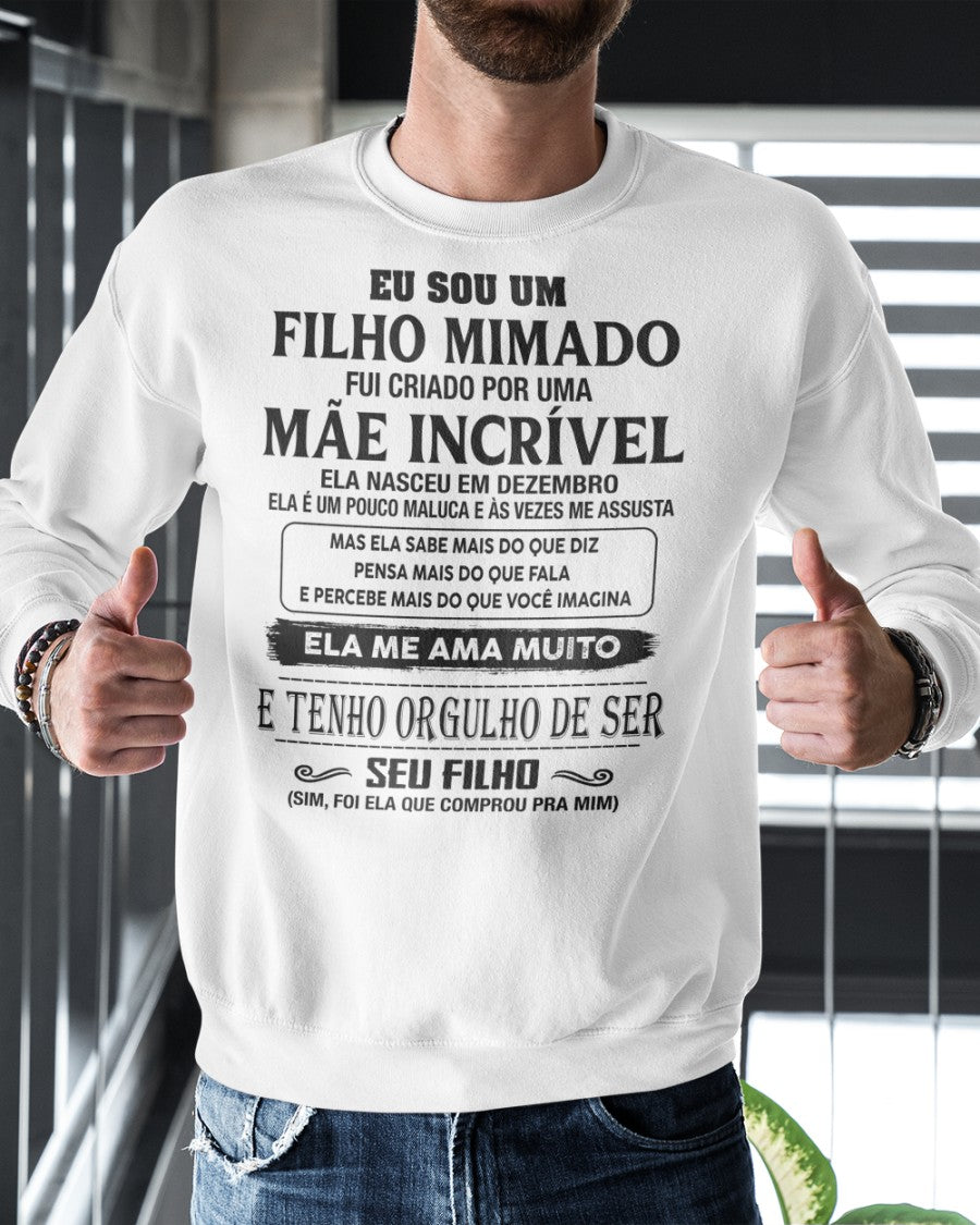 O presente perfeito para seu filho (SKU2605-30-12) - SUNBDN12