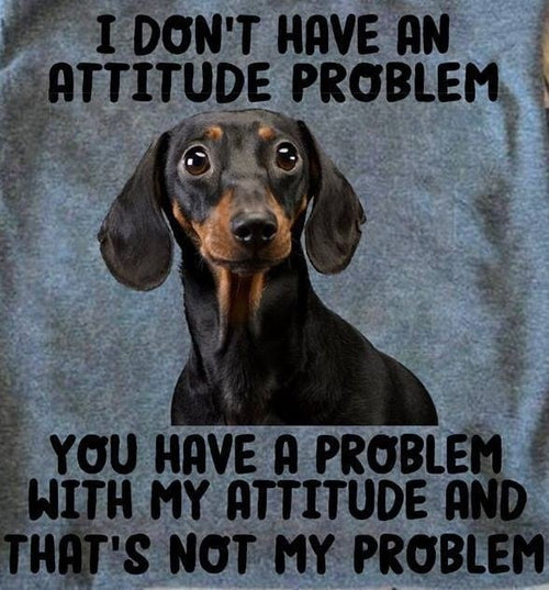 Funny Halloween Shirts for you - 2026 - S14