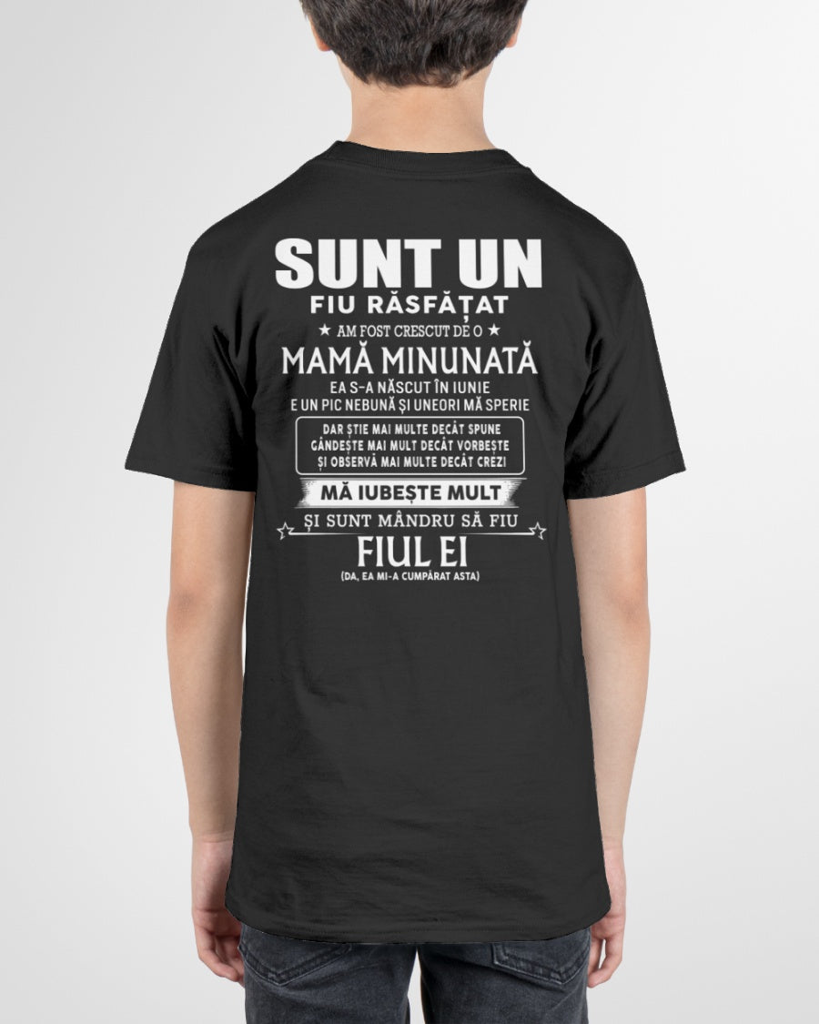 Cadou special pentru fiul tău (SKU2605-216-06) - SUNRMN06